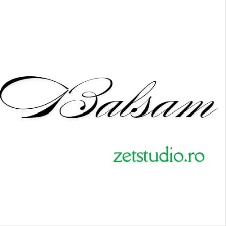 Poza pentru categoria BALSAM DE PĂR